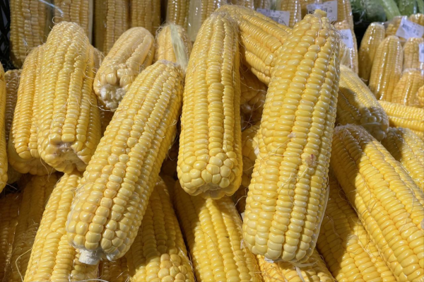 策略池 煮玉米时，别再直接放进锅了，多加这3步，玉米香甜软糯，营养足