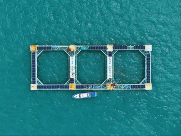 千金策略 歌起深蓝 广铸粮仓：广东书写“向海要粮”史诗 | 海上新广东系列报道⑤