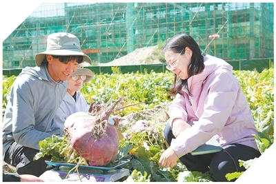 富邦优配 雪域高原  创新热土（科技视点）